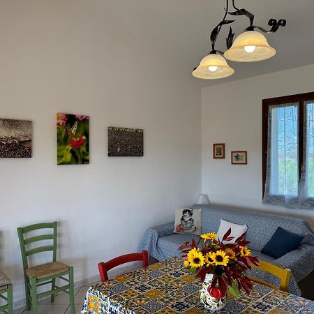 Agriturismo I Debbi Bibbona Luaran gambar